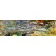 Cassatt - Summertime: Water reflexion (Reflets d'eau)