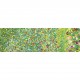 Klimt - Apple tree I (Pommier)