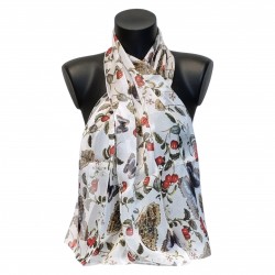 Merian - Metamorphosis insectorum Surinamensium (Métamorphose des insectes Surinamais)