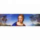 Raphaël - La Vierge au chardonneret (Madonna del Cardellino)