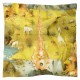 Bosch - Le jardin des délices