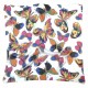 Dufy - Papillons  Blanc