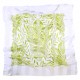 Dufy - Ballets Russes (M) Vert