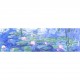 Monet  - Nymphéas reflets