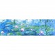Monet  - Nymphéas reflets